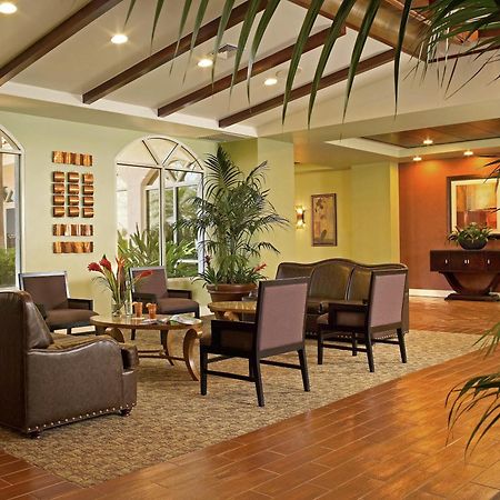Palm Beach Shores Resort And Vacation Villas Beltér fotó